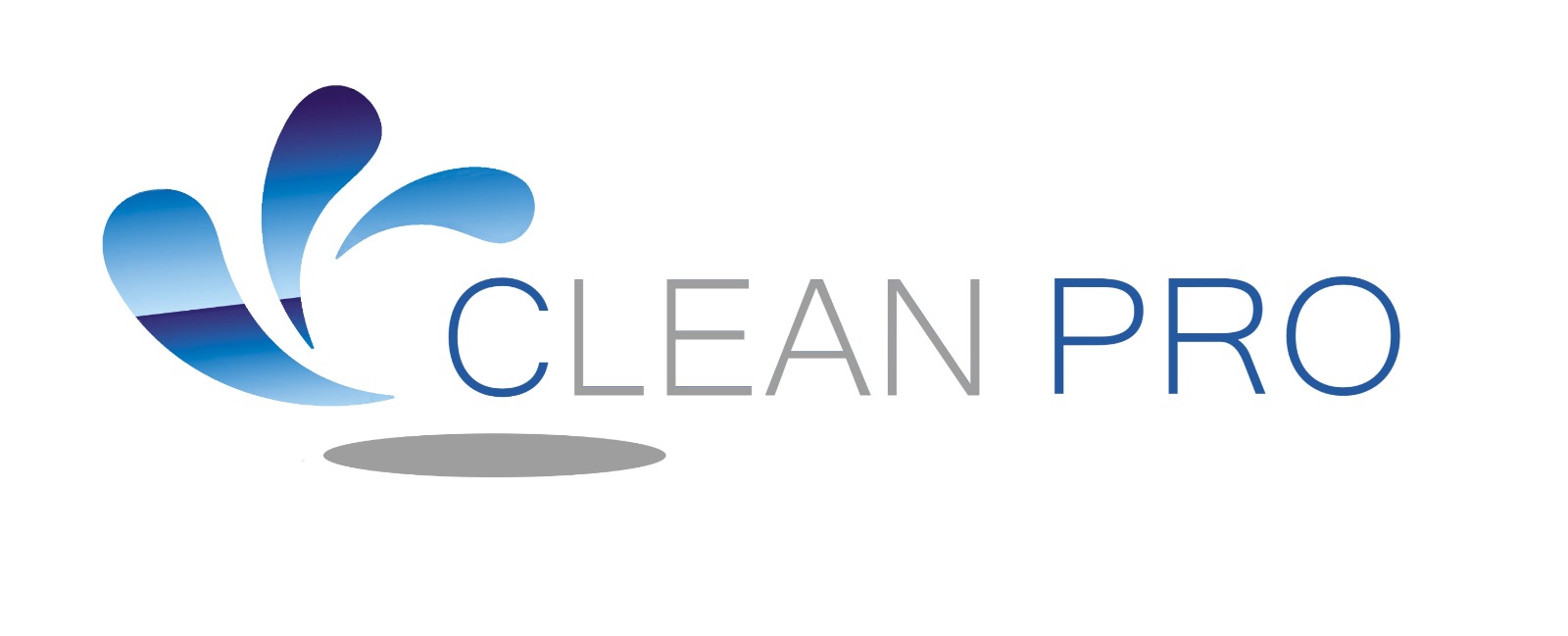clean pro nettoyage 06