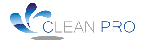 clean pro nettoyage 06