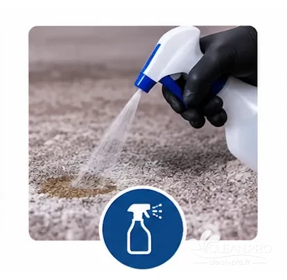 Application d'un détachant sur une tache de tapis