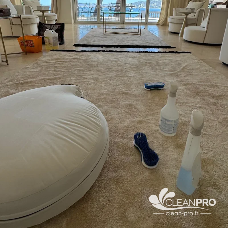 Détachage de tapis à la brosse dans une villa avec vue sur la mer à Antibes