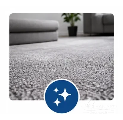 Tapis propre aux poils redressés après nettoyage