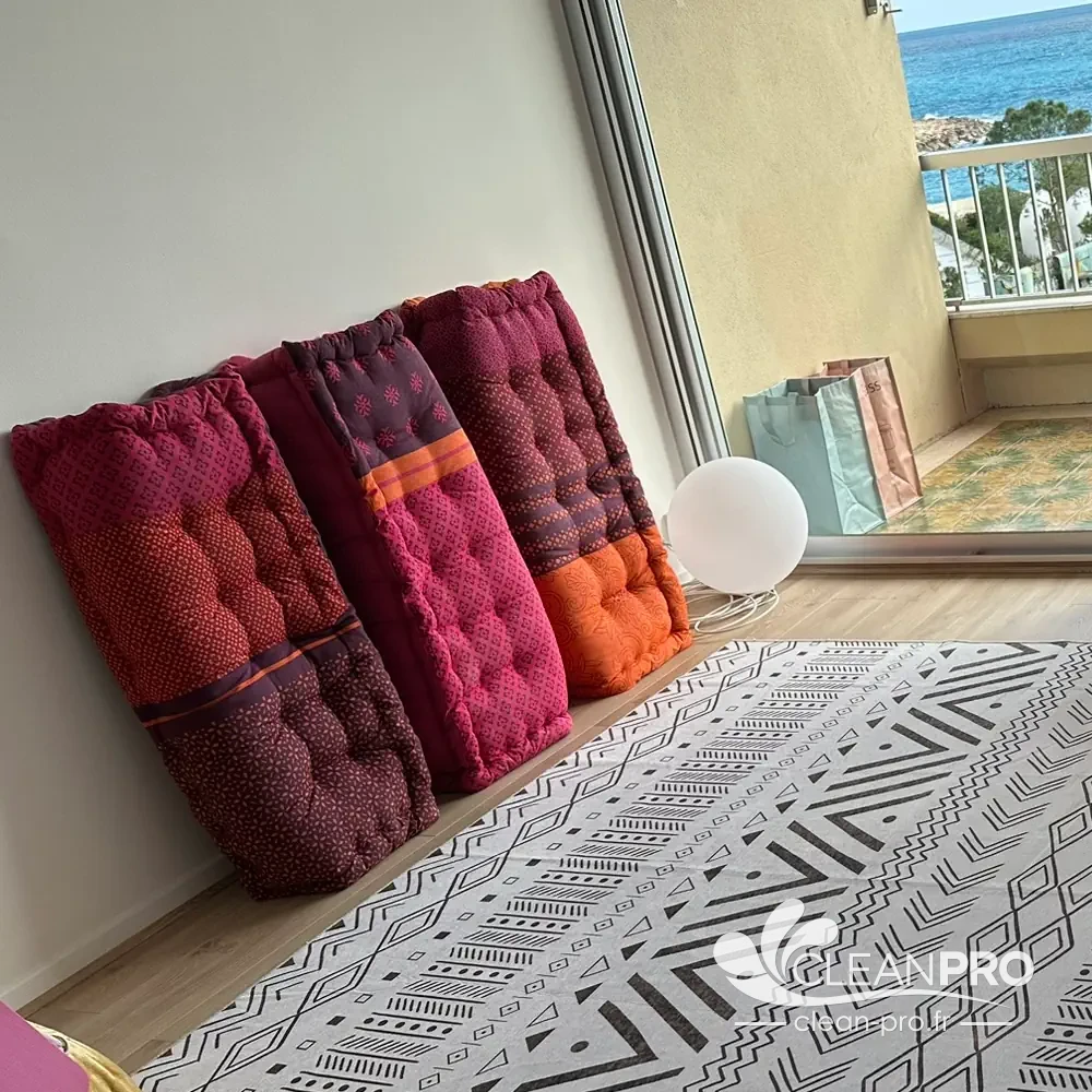 nettoyage matelas appartement monaco