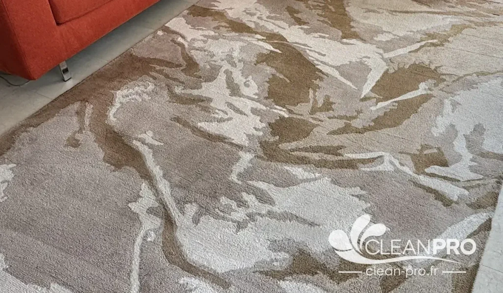 Nettoyage d'un tapis à domicile avec une machine professionnelle sur la Côte d'Azur