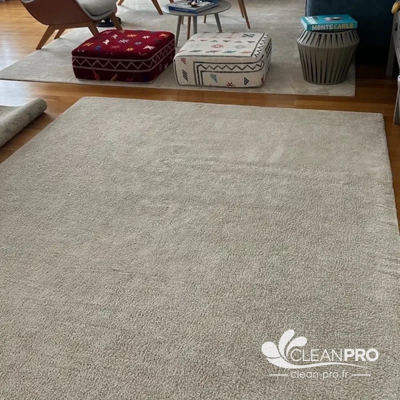 Tapis beige à poils longs nettoyé et protégé par Tex Guard dans un salon à Monaco