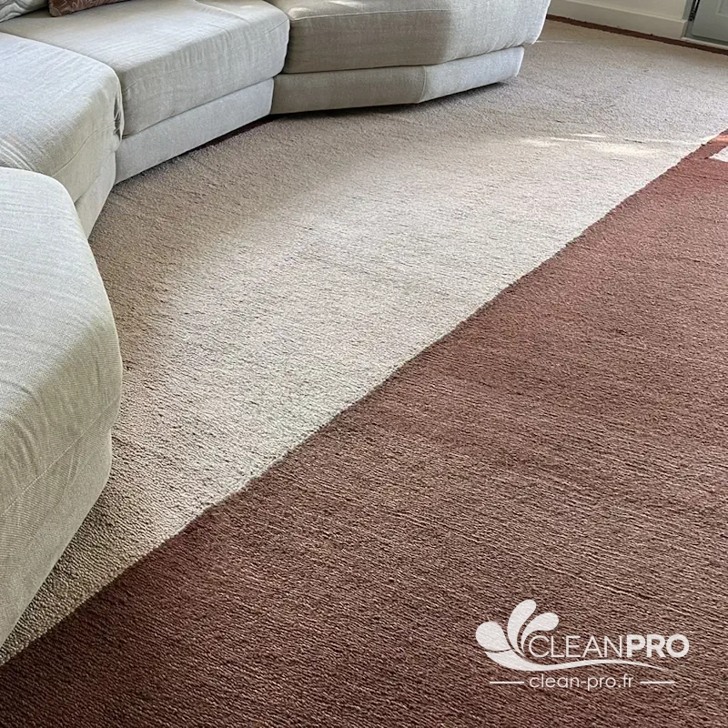 Tapis bicolore beige et terracotta nettoyé dans un salon à Nice