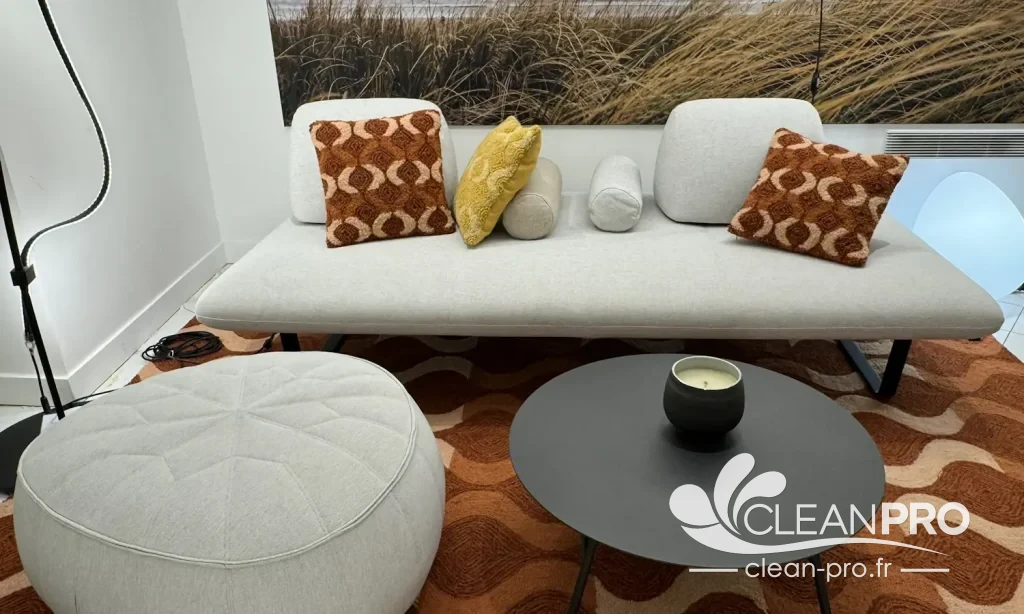 Canapé, pouf et tapis : nettoyage de textiles d'ameublement à Nice