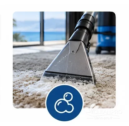 Pré-lavage professionnel de tapis à Monaco