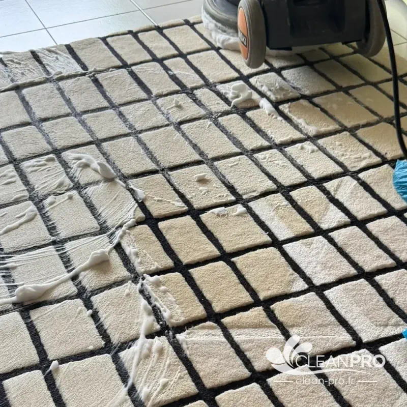 service nettoyage tapis 06