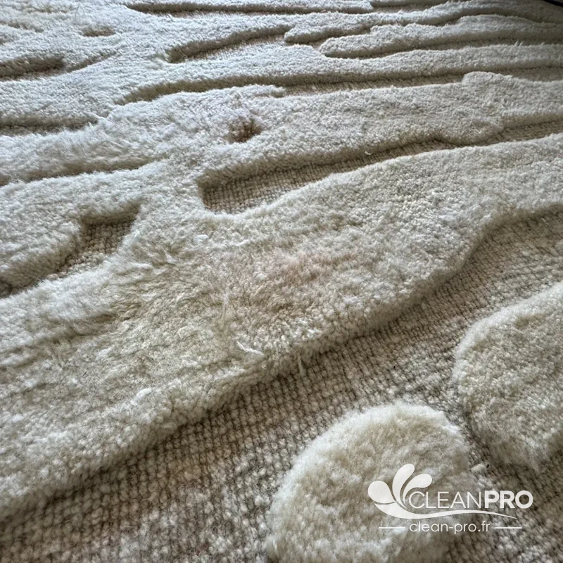 Tapis en laine à motifs en relief avant nettoyage à Cannes