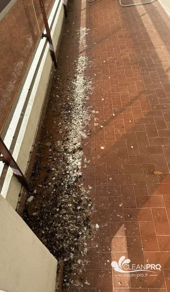 Carrelage en terre cuite rouge encrassé sur une terrasse avant nettoyage à Cannes