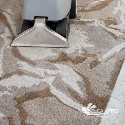 Nettoyage de moquette dans une villa à Cannes